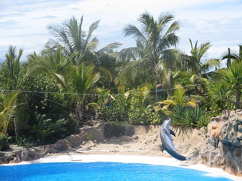 Loro Parque